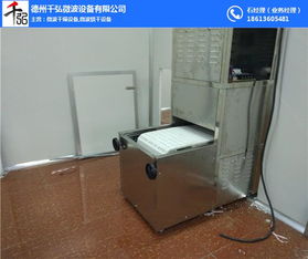 千弘微波质量优 食品微波烘干设备助力高效干燥工艺